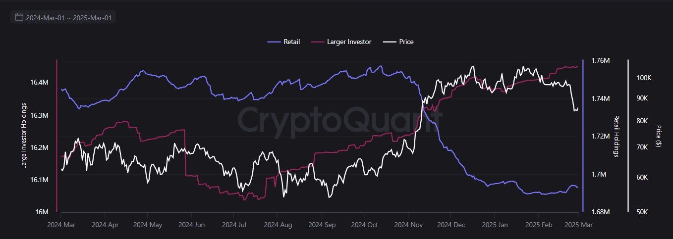 Bireysel ve Büyük Yatırımcıların Bitcoin Varlıkları
