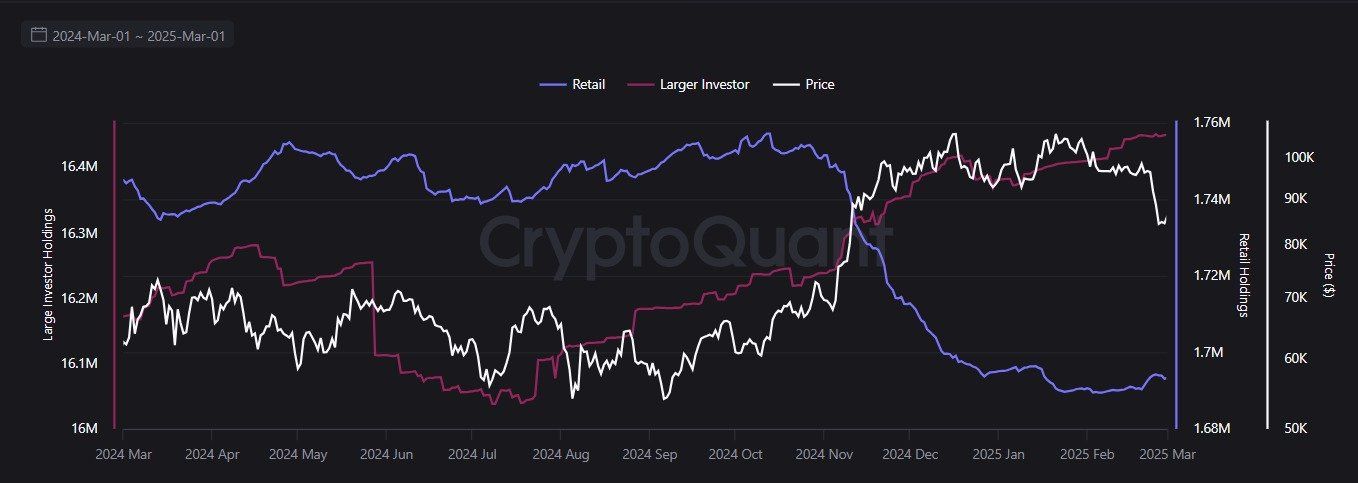 Bireysel ve Büyük Yatırımcıların Bitcoin Varlıkları
