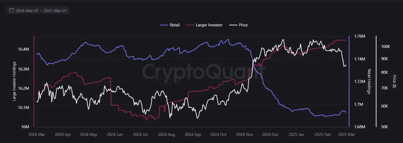 Bireysel ve Büyük Yatırımcıların Bitcoin Varlıkları