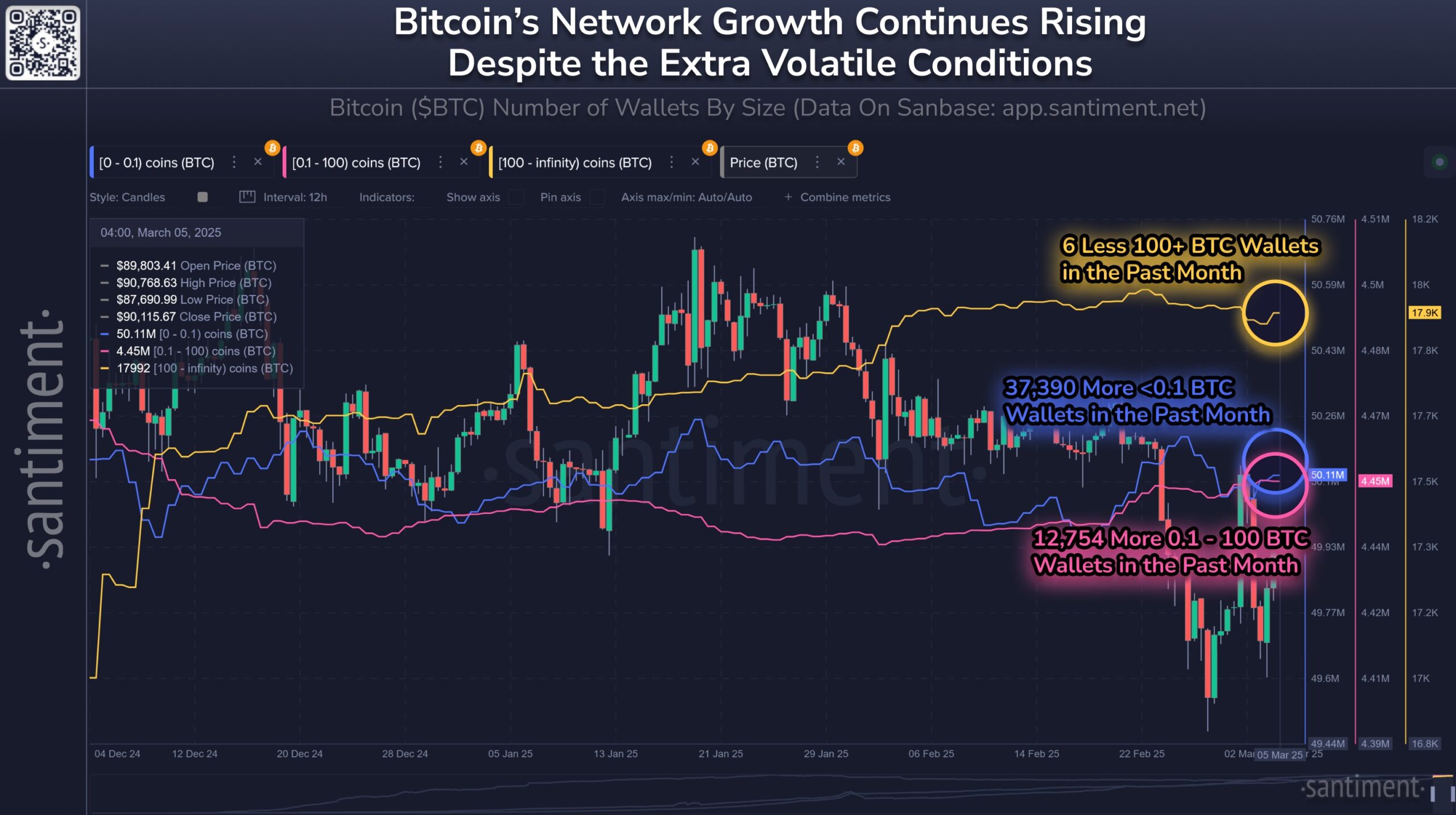 Bitcoin STH Sahipleri