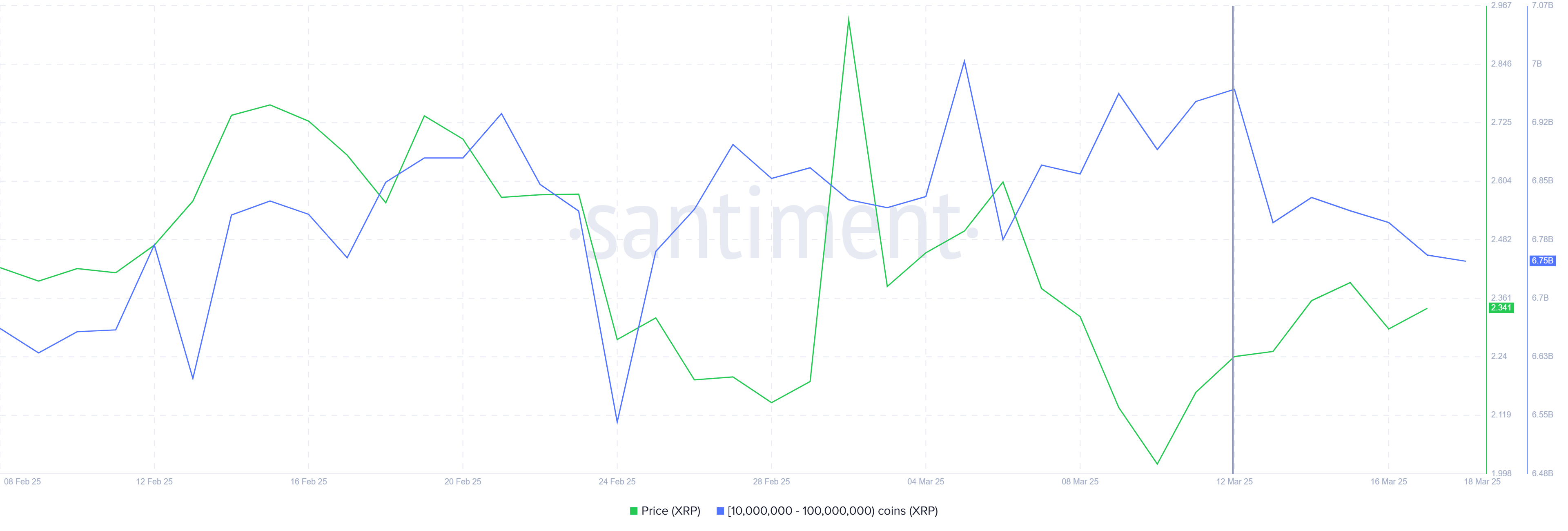 XRP coin balinaları
