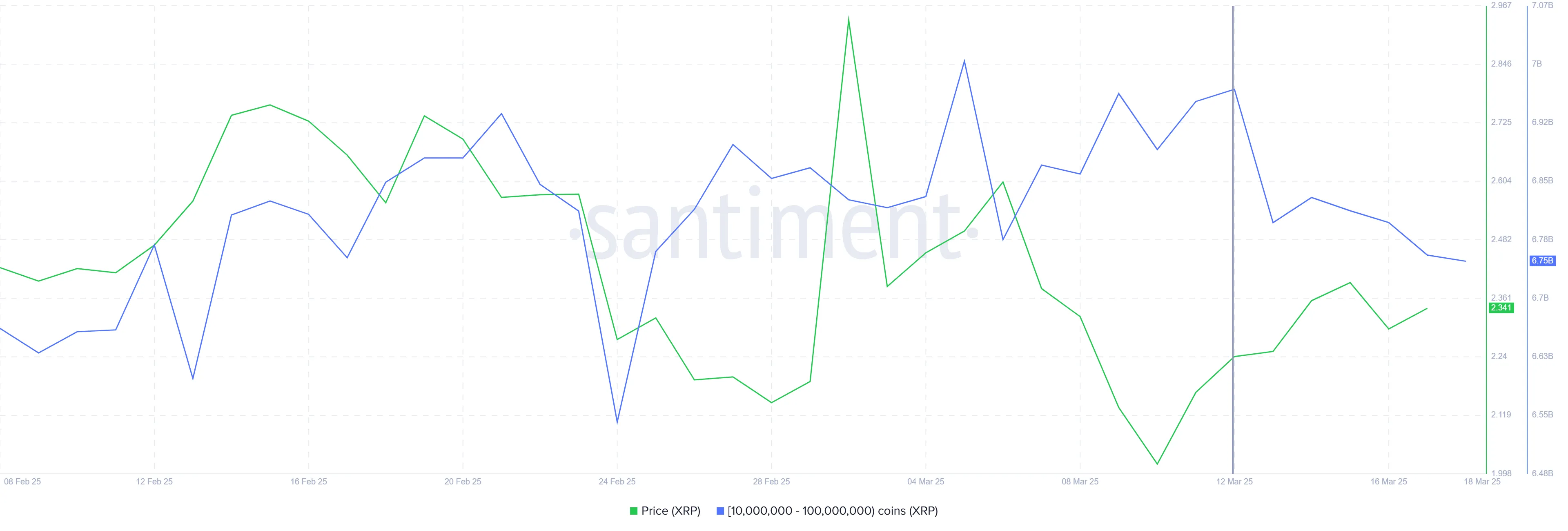 XRP coin balinaları