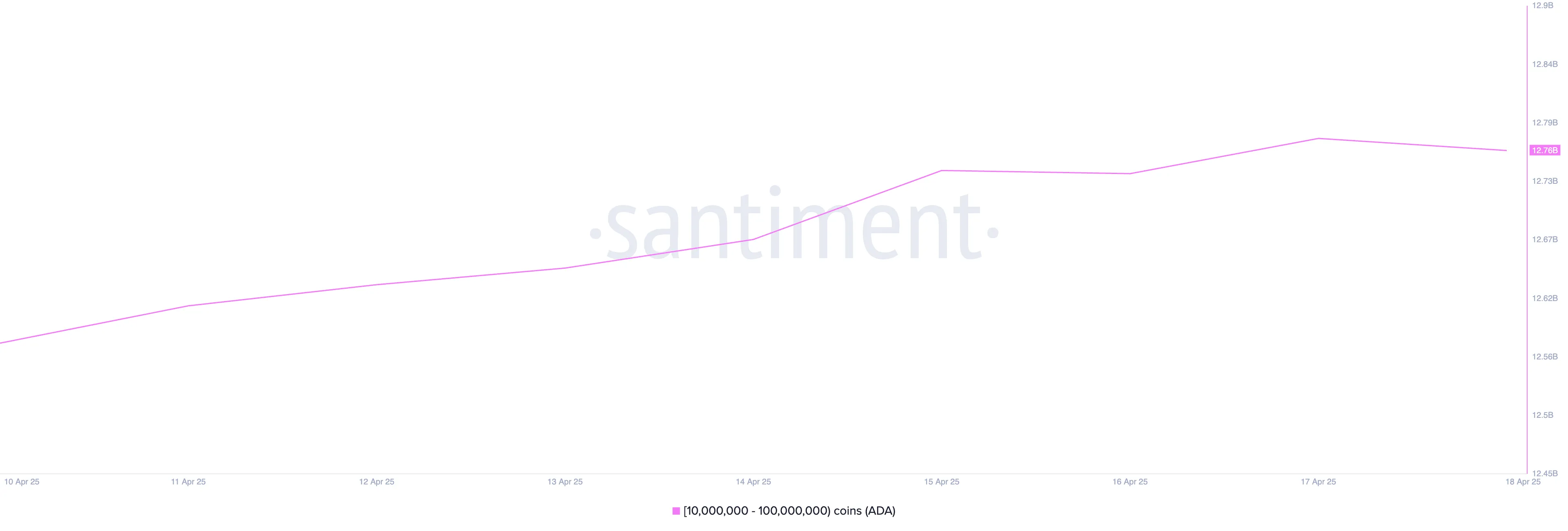 Cardano Whale Activity