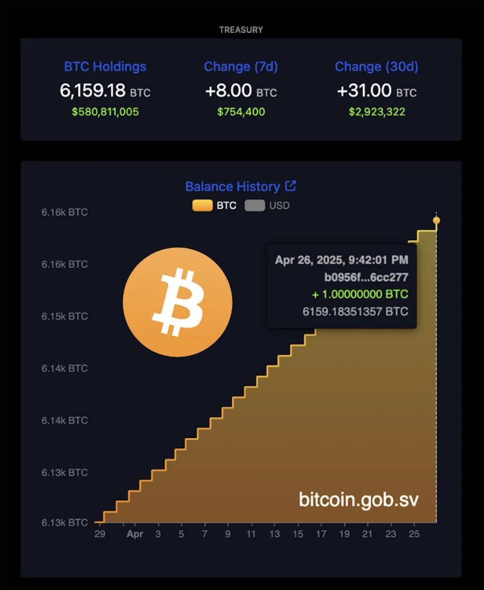 El Salvador'un Bitcoin Varlıkları.