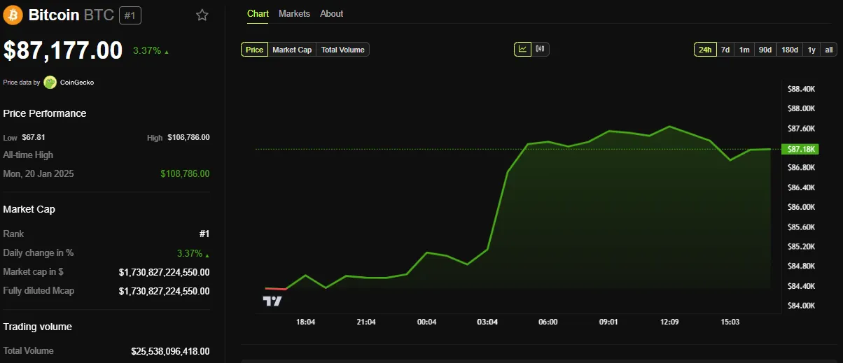 Bitcoin (BTC) Fiyat Performansı