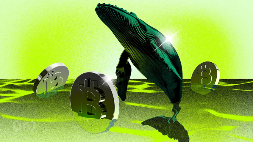 Yeni Bitcoin Balinaları Artık BTC Sermayesinin Çoğunluğunu Elinde Tutuyor | Haftalık Balina Takibi