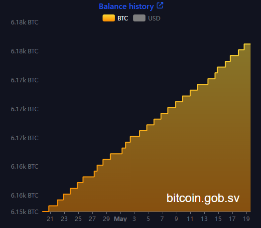 El Salvador Bitcoin portföyü