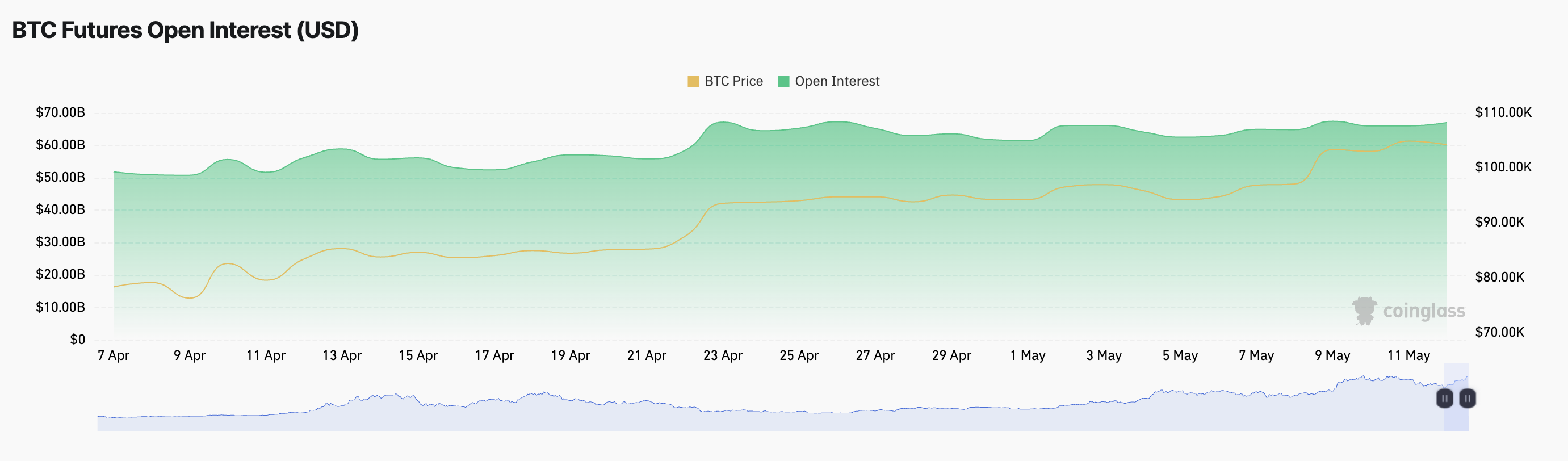 BTC Vadeli İşlemler Açık Pozisyonlar.