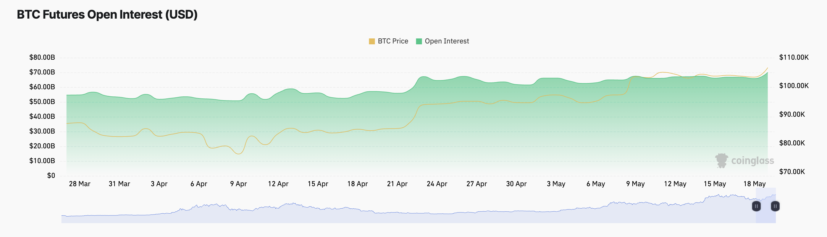 BTC Vadeli İşlemler Açık Pozisyonları.