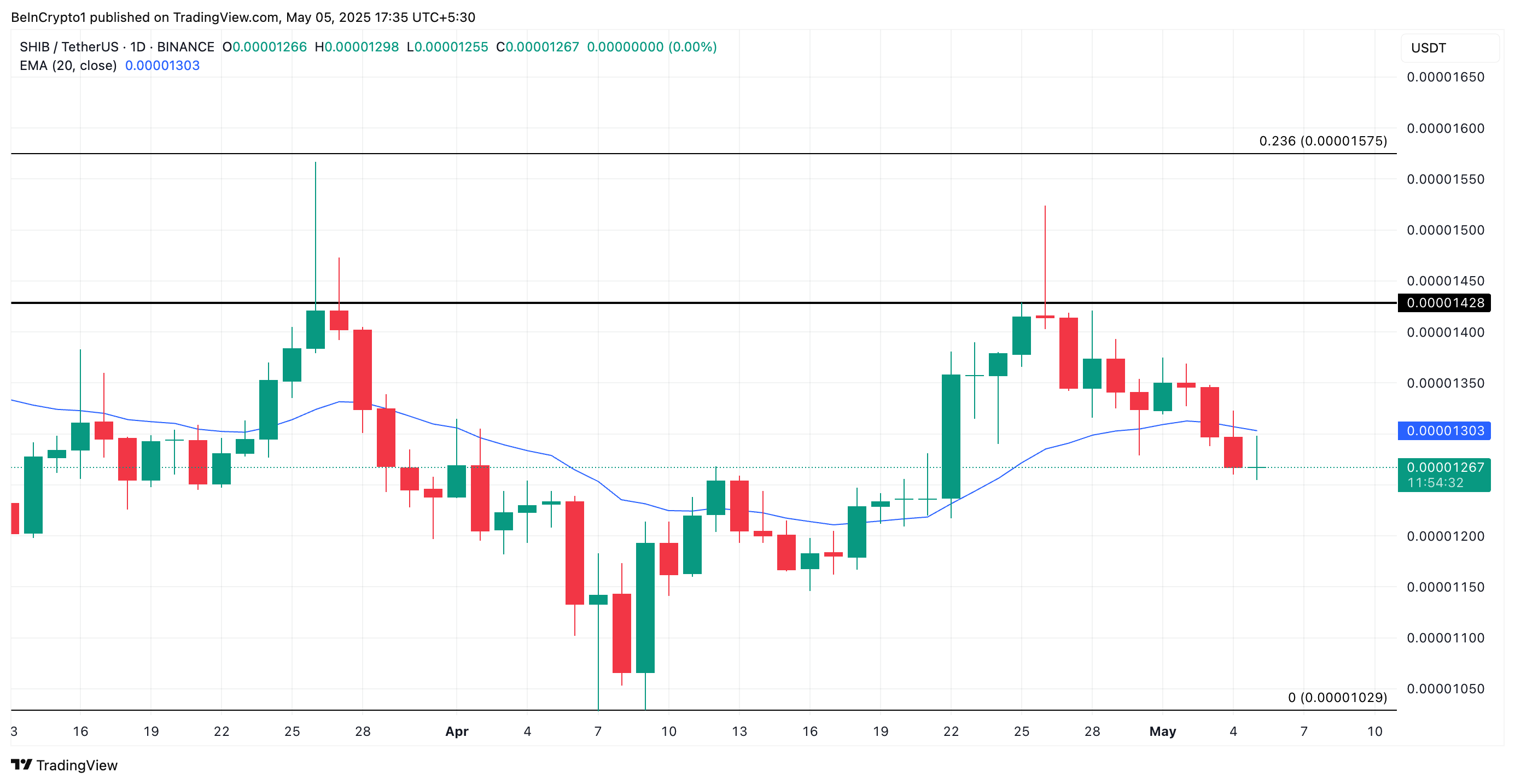 SHIB coin fiyat analizi