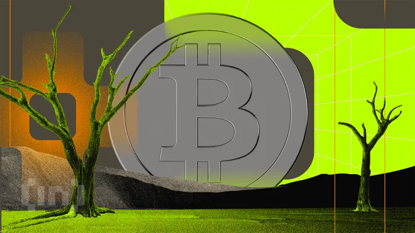 Kenya’nın En Büyük Gecekondu Bölgesi Bitcoin Ekonomisiyle Canlandı