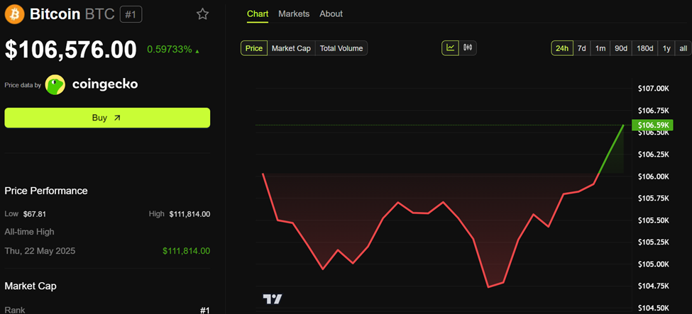 Bitcoin (BTC) Fiyat Performansı
