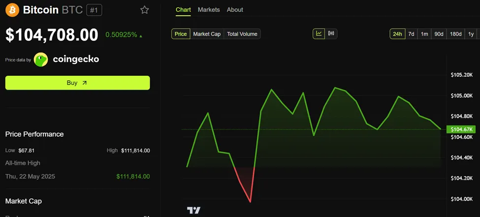 Bitcoin (BTC) Fiyat Performansı