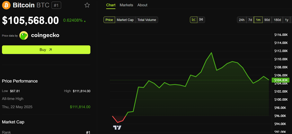 Bitcoin (BTC) Fiyat Performansı
