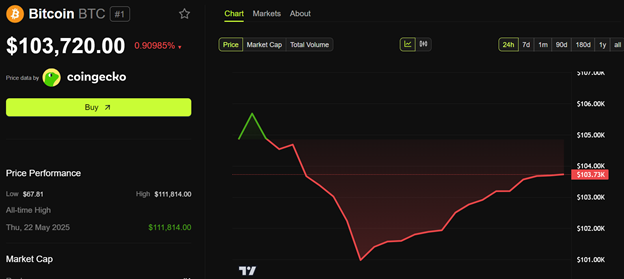 Bitcoin (BTC) Fiyat Performansı