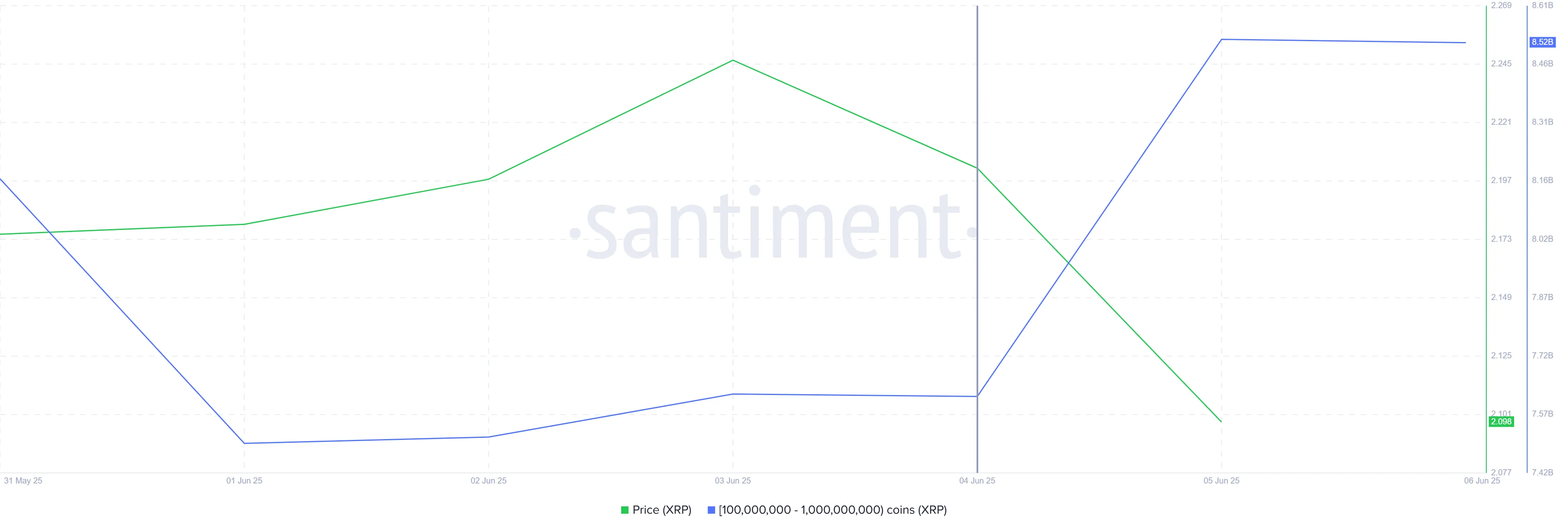 XRP Whale Accumulation
