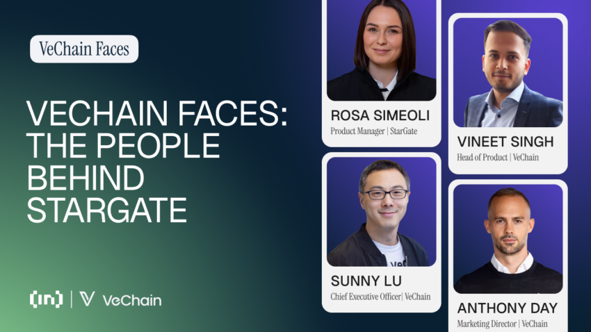 VeChain Karşı Karşıya: StarGate Katılımı, Teşvikleri ve Kurumsal Erişimi Nasıl Yeniden Şekillendiriyor?