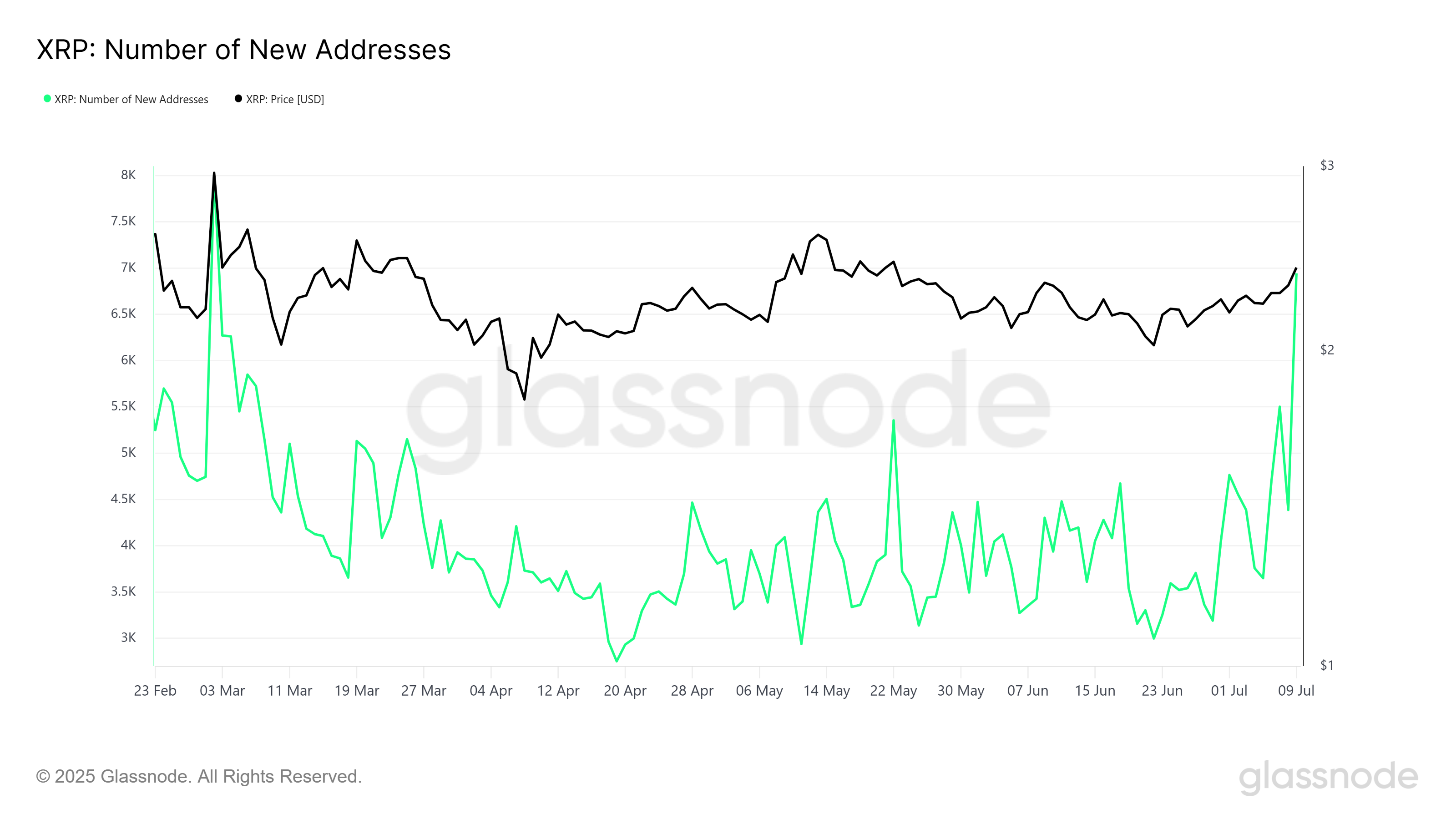XRP Yeni Adresler.