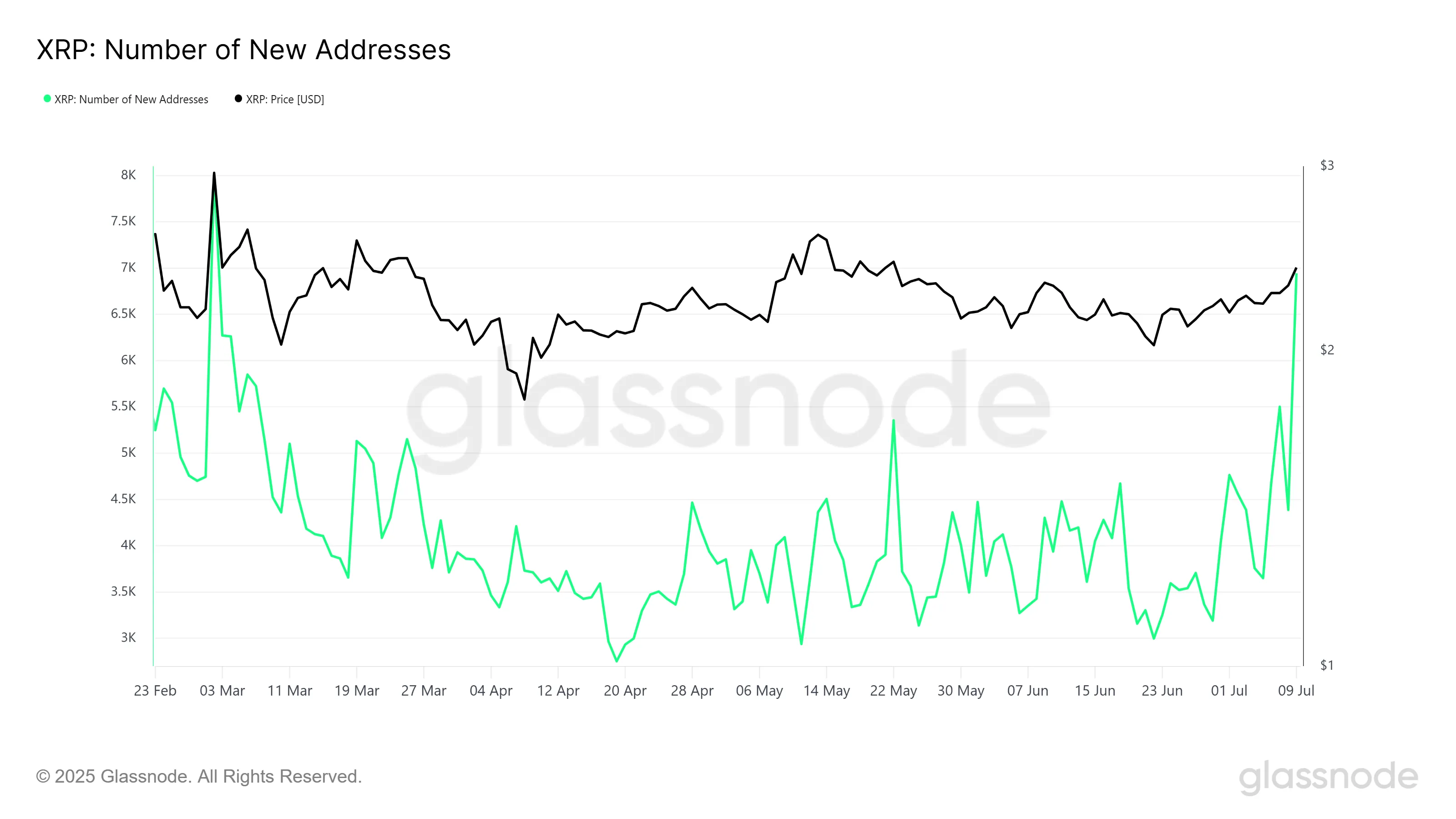 XRP Yeni Adresler.