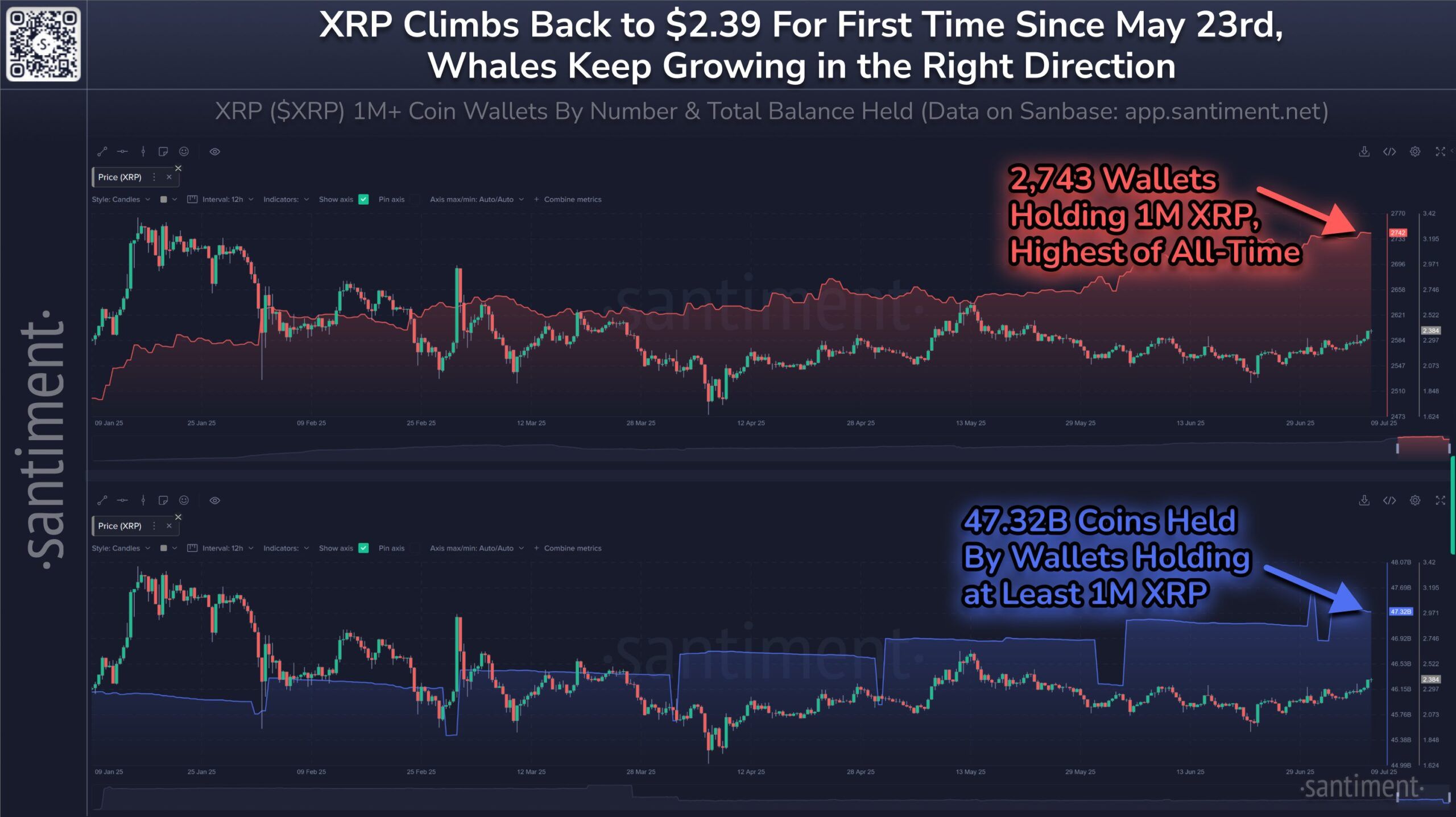 XRP Balina Adresleri