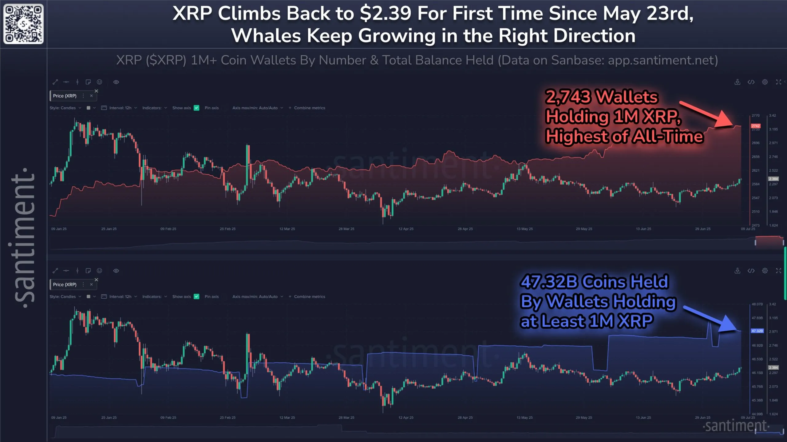 XRP Balina Adresleri