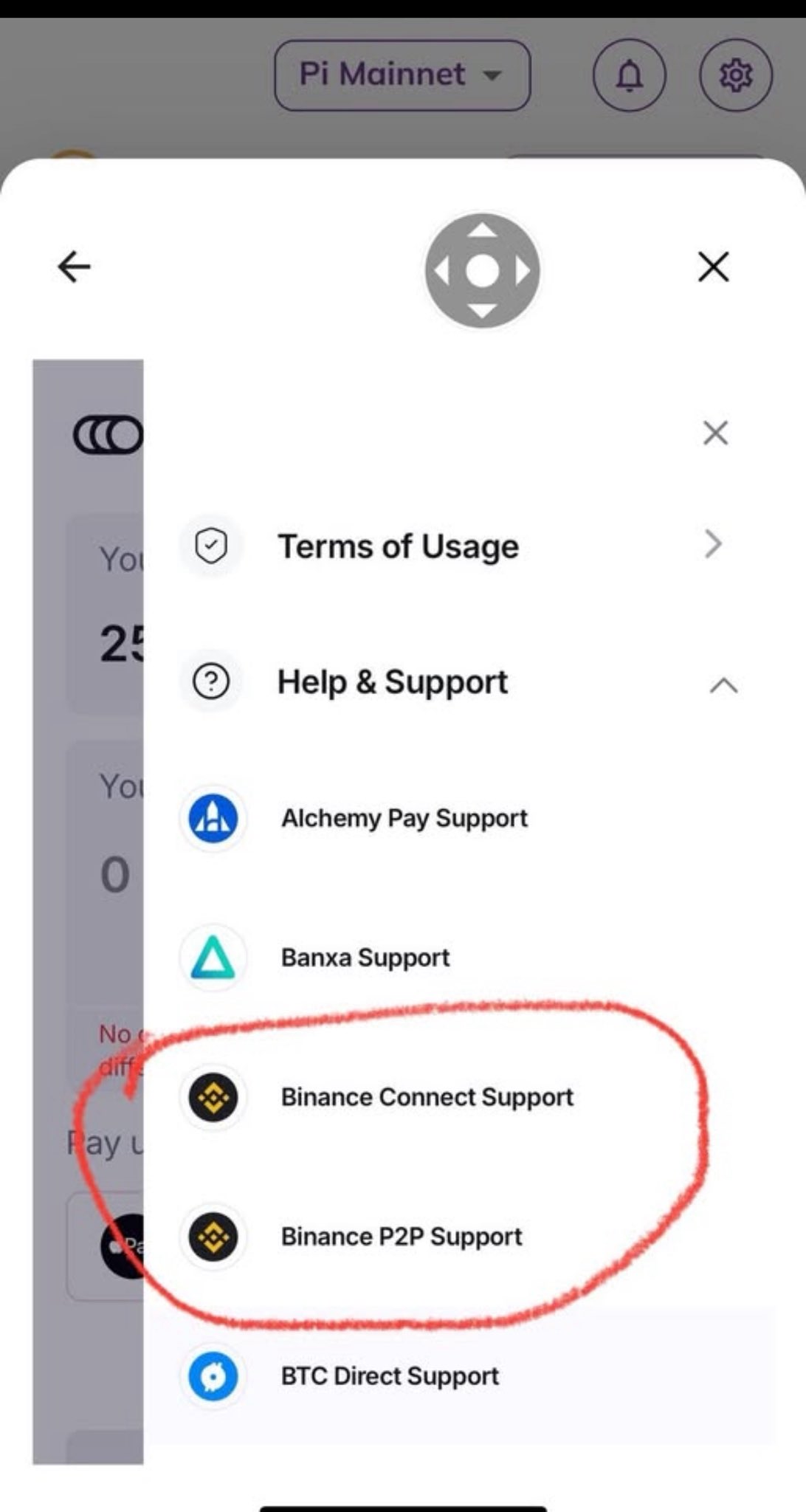 Binance Destek Seçenekleri Pi Wallet'ta.