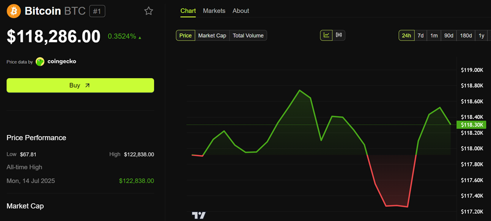 Bitcoin (BTC) Fiyat Performansı