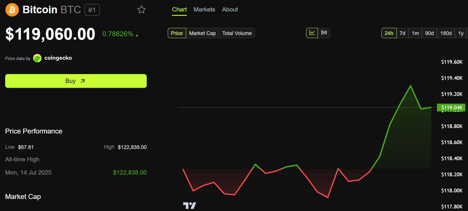 Bitcoin (BTC) Fiyat Performansı