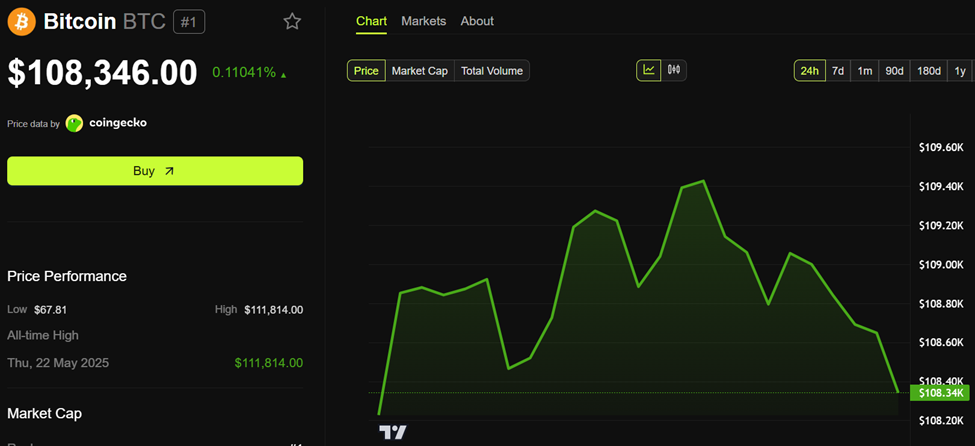 Bitcoin (BTC) Fiyat Performansı