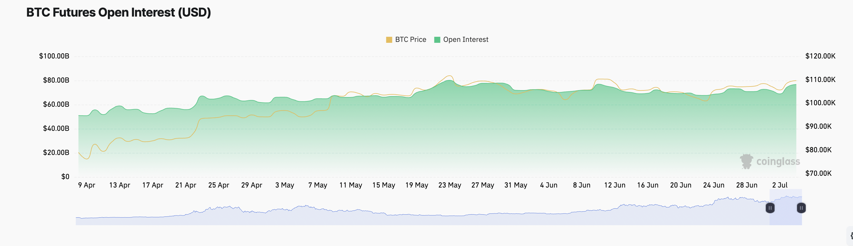 BTC Vadeli İşlemler Açık Pozisyon Faizi.
