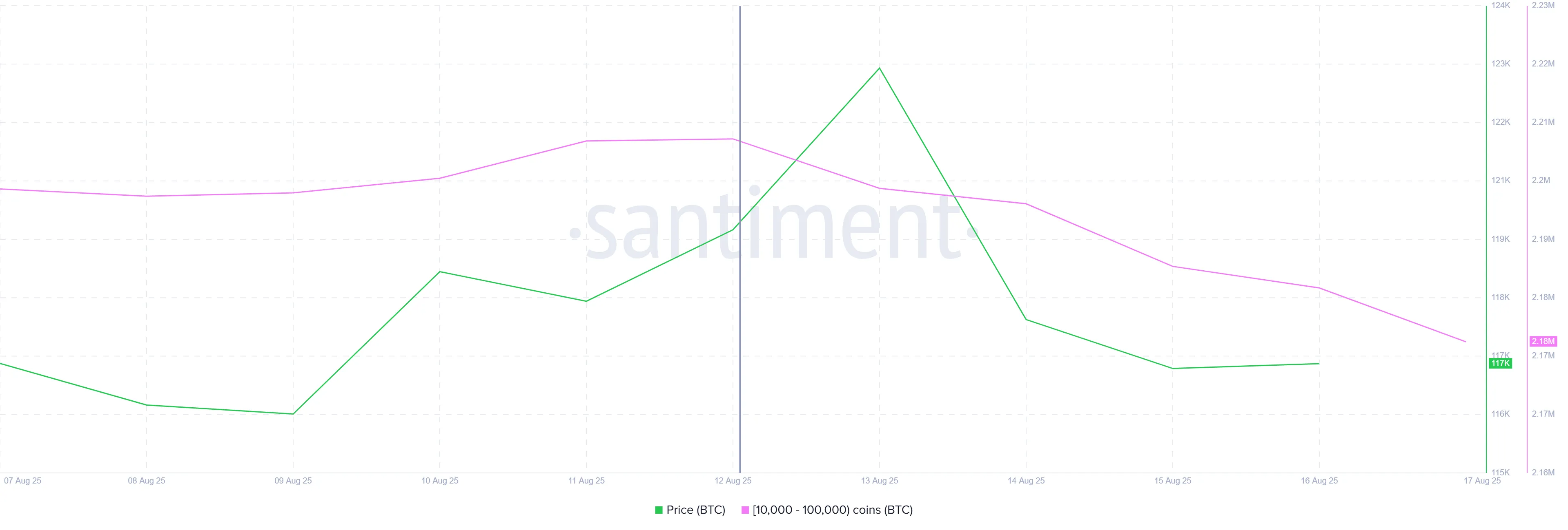 Bitcoin Whale Holding