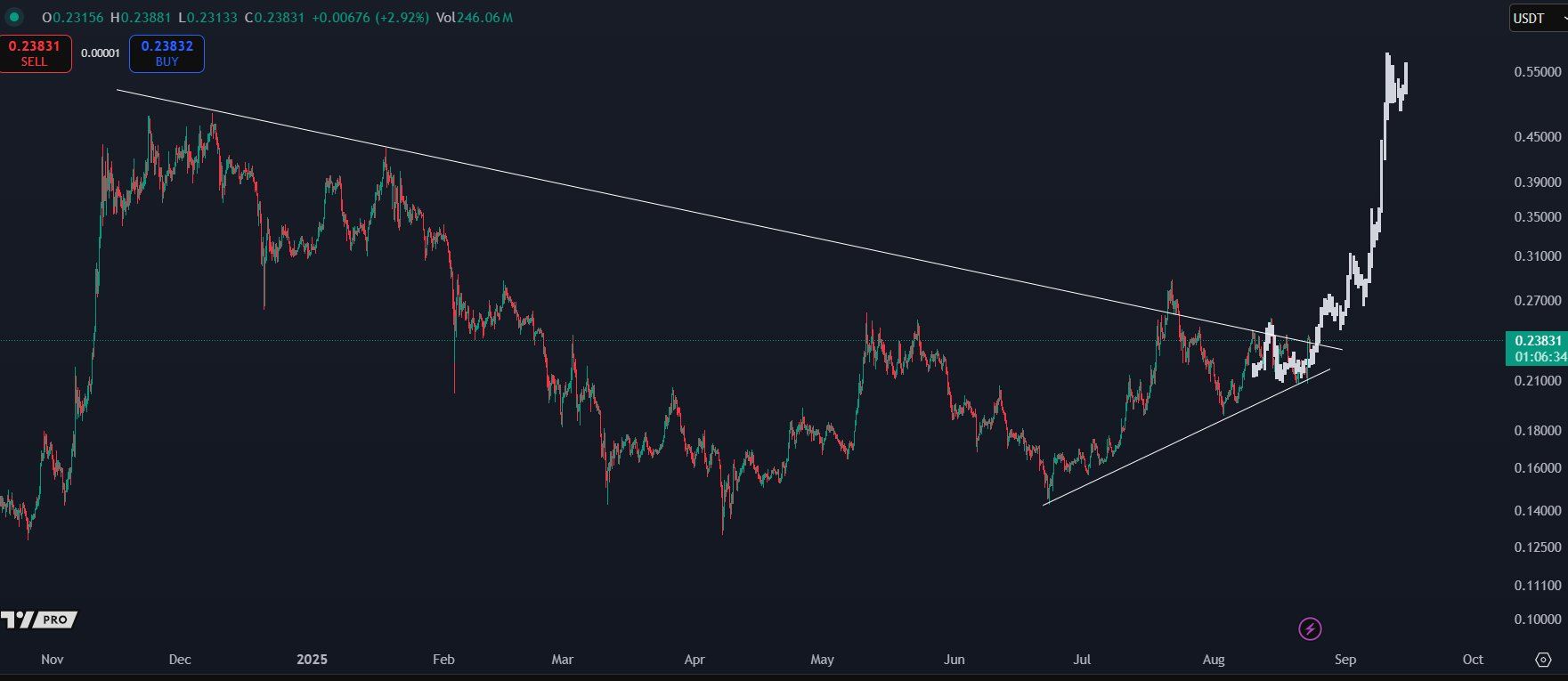 DOGE Price with Symmetrical Triangle Pattern. Source: KALEO.