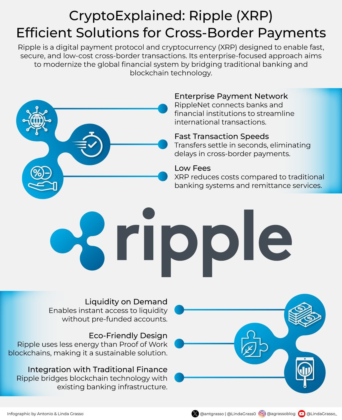 ripple ecosystem explained