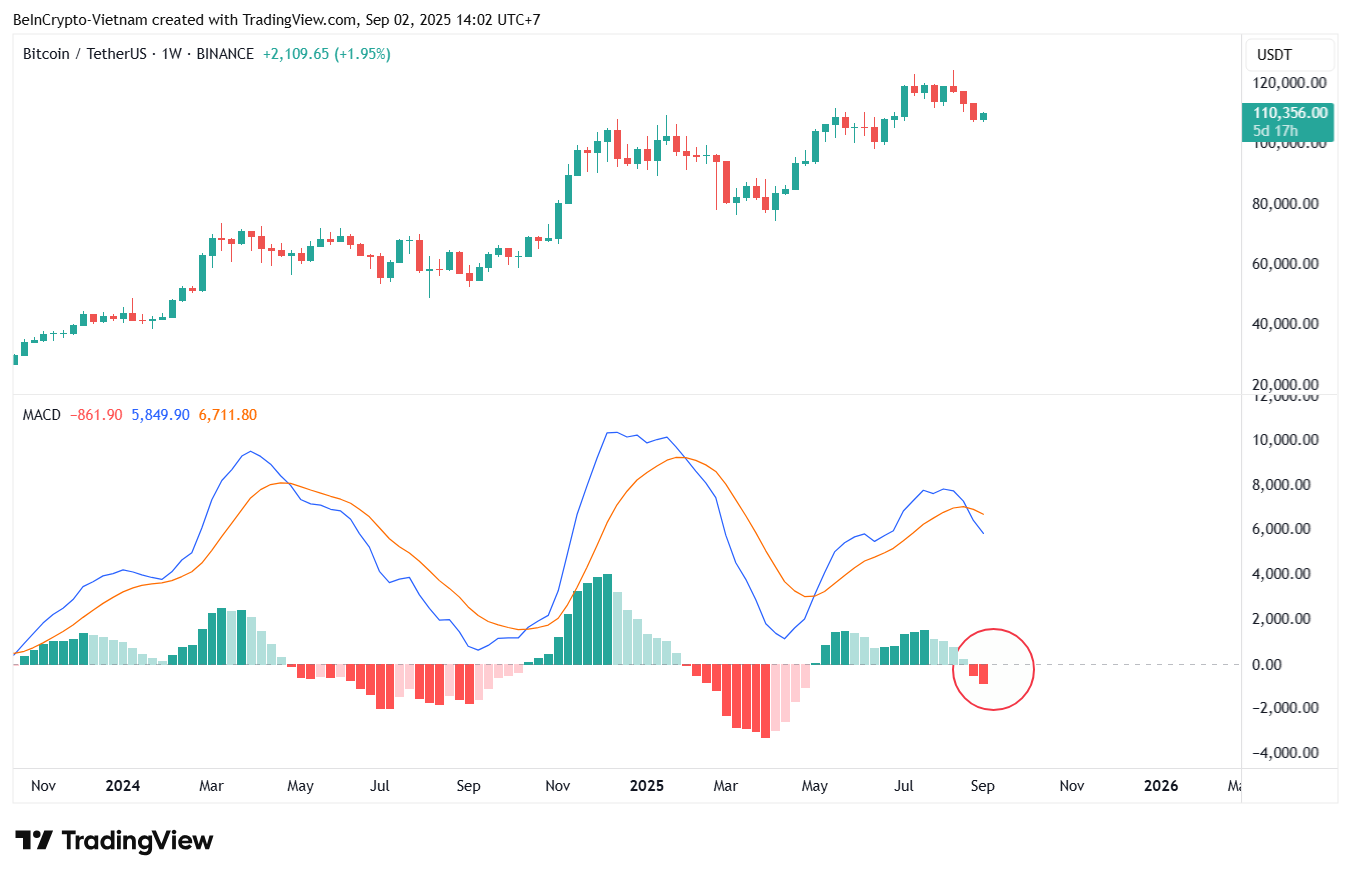 Bitcoin Fiyatı & MACD Göstergesi. Kaynak: TradingView.