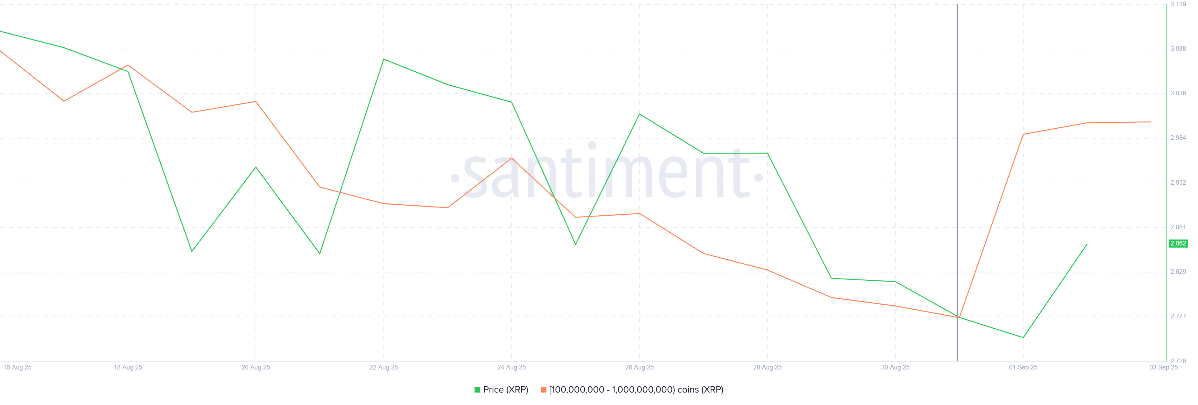 XRP Whale Holdings